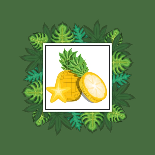 cadre décoratif avec des feuilles tropicales autour et ananas