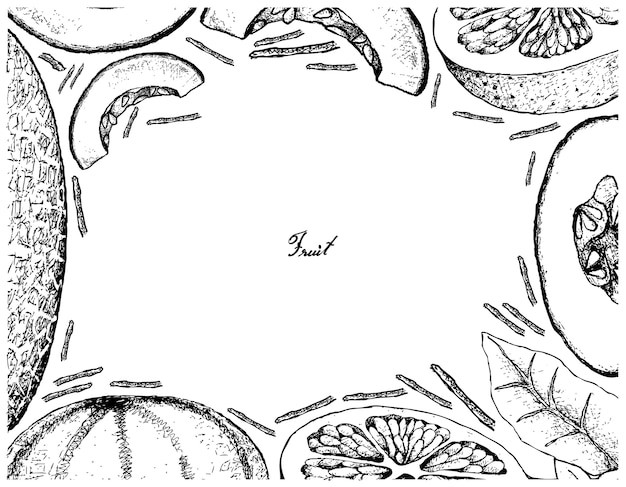 Cadre dessiné à la main de cantaloup et de pamplemousse