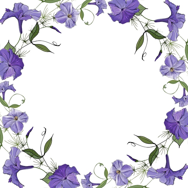 Vecteur cadre d'été avec pétunia violet fleurs.