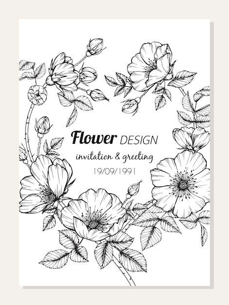 Cadre De Fleur Rosa Canina Dessin Illustration