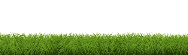 Le cadre en herbe est blanc et le fond transparent.