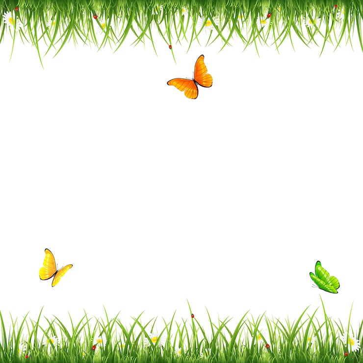 Vecteur cadre d'herbe verte avec des fleurs volant des papillons et des coccinelles sur l'illustration de fond blanc