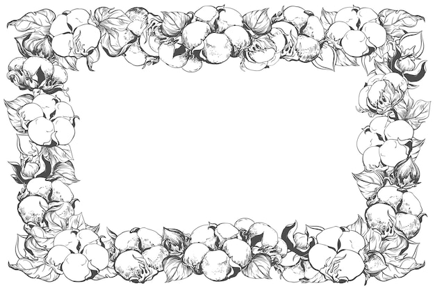 Vecteur cadre horizontal rectangulaire avec des fleurs de coton et de l'espace pour le texte dessin linéaire de boules de coton blanches feuilles et branches illustration vectorielle à l'encre rétro conception d'invitation de mariage à étiquette