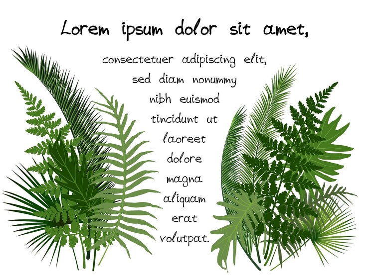 Vecteur cadre d'illustration vectorielle de feuilles tropicales vertes pour un texte aléatoire jungle exotique laisse de la verdure