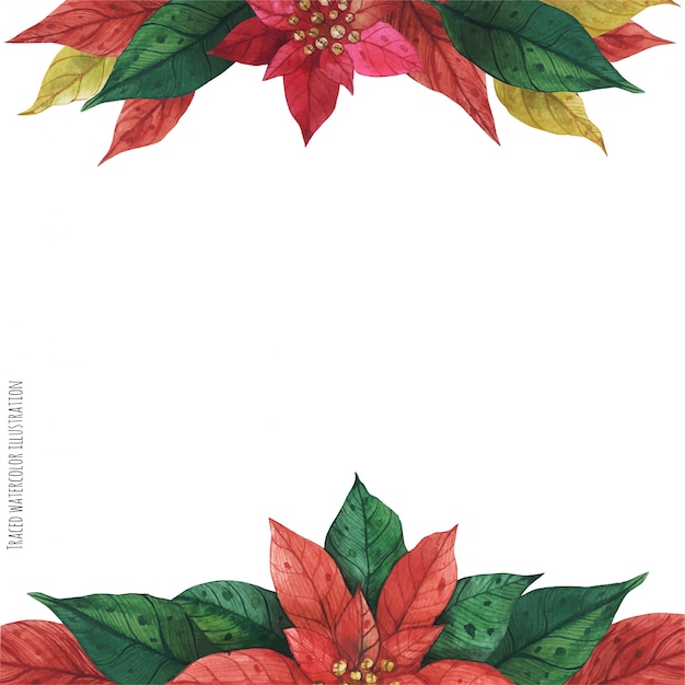 Cadre Poinsettia Vert Rouge