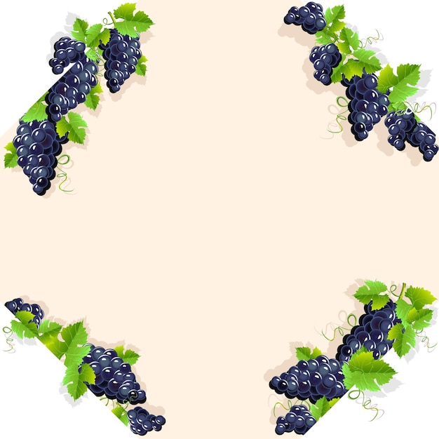 Cadre avec raisins noirs