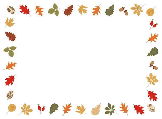 Cadre rectangle d'automne à feuilles vectorielles en couleurs rouge vert jaune et brun sur fond blanc