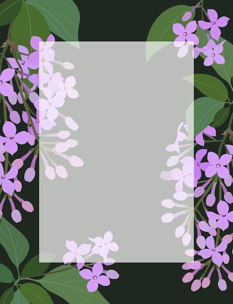 Vecteur cadre rectangulaire avec des fleurs et des plantes de lilas violet sur un fond sombre illustration vectorielle.