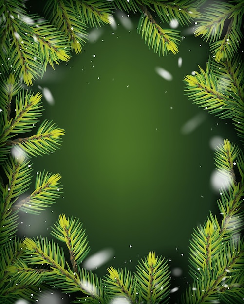 Cadre de sapins de décoration de Noël et fond vert