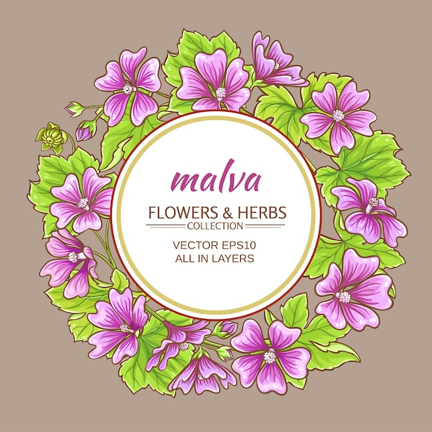 Cadre vectoriel Malva