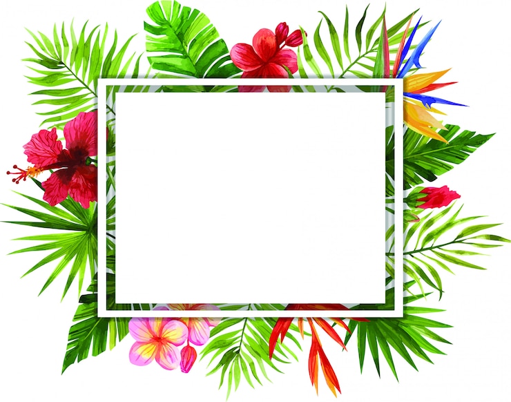 Vecteur cadres de fleurs et feuilles tropicales