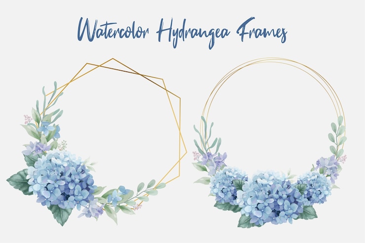 Vecteur cadres géométriques en or avec des fleurs d'hortensia aquarelles