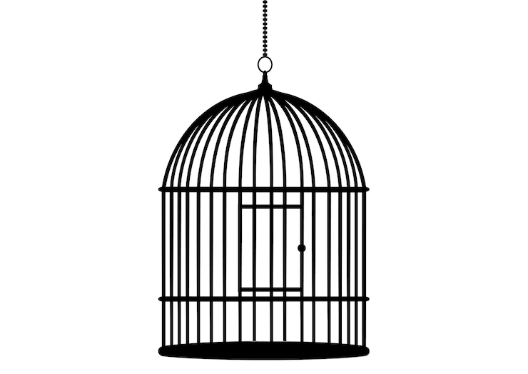 Vecteur cage à oiseaux vide cage de dessin animé pour l'icône d'oiseaux