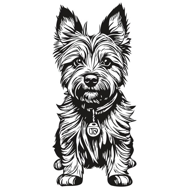 Cairn Terrier chien dessin à l'encre dessin vintage tatouage ou T-shirt imprimé vecteur noir et blanc animal de compagnie de race réaliste