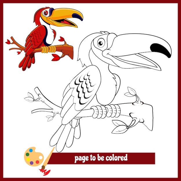 Vecteur calao oiseau dessin animé rouge images à colorier