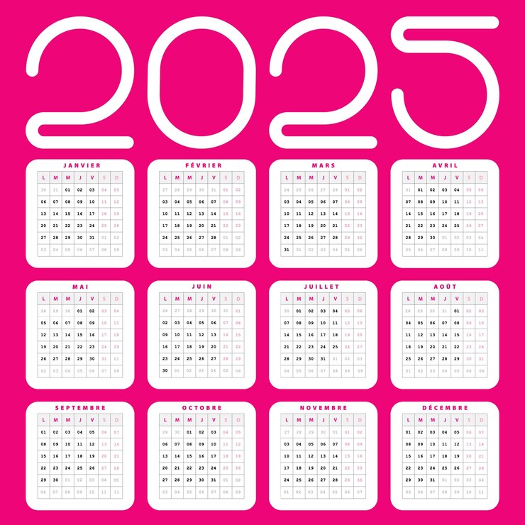Vecteur calendrier français 2025 design artistique personnalisable couleur rose