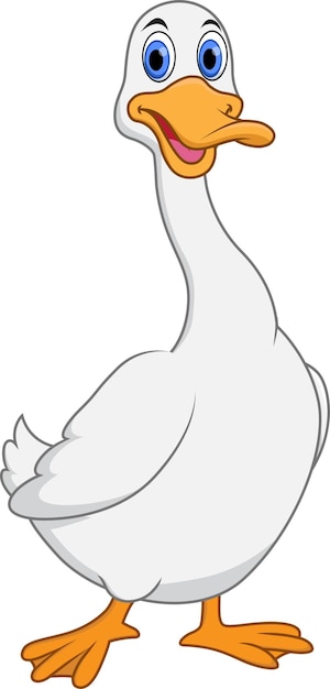Vecteur canard blanc debout fond blanc