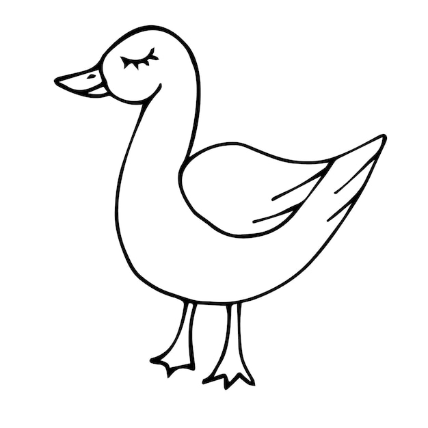 Vecteur canard de croquis de doodle dessinés à la main de vecteur