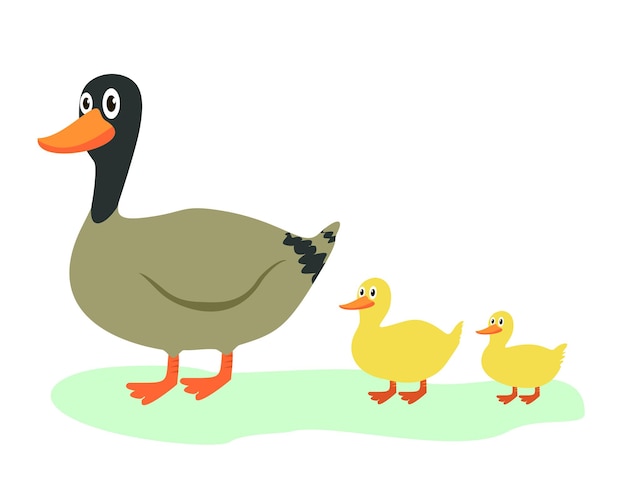 Vecteur canard mignon dans le style de dessin animé ensemble de canard et de canetons mignon canard mère et bébés jaunes oiseaux marchant