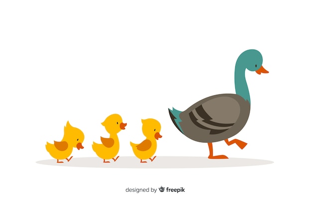 Canard plat et petits canards jaunes