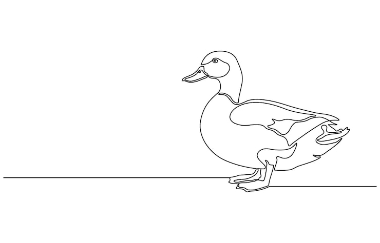 Vecteur un canard réaliste dessiné comme une ligne continue vecteur continu une simple ligne abstraite unique