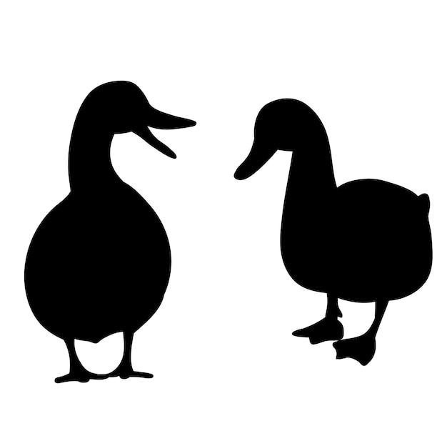 Canard silhouette fond blanc