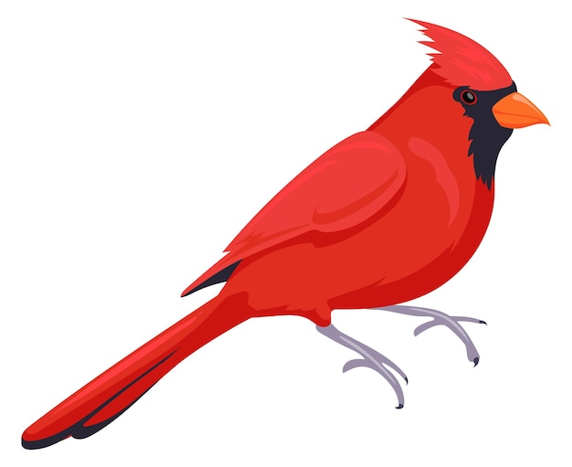 Vecteur cardinal oiseau icône plumes rouges animal sauvage