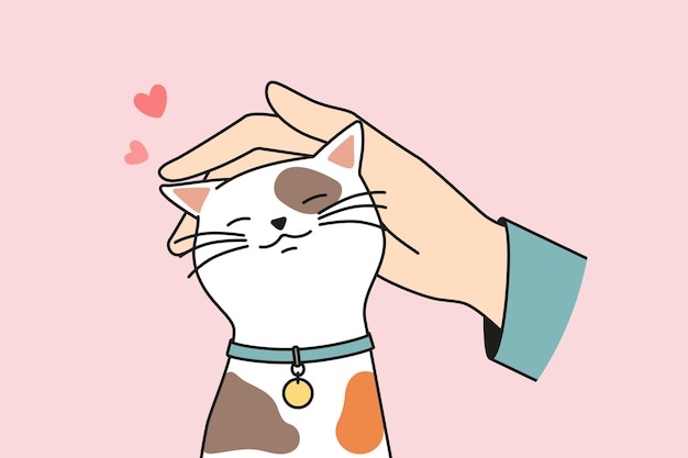 Caresse de la main chat mignon