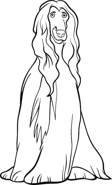 Caricature De Chien Afghan Hound Pour Livre De Coloriage