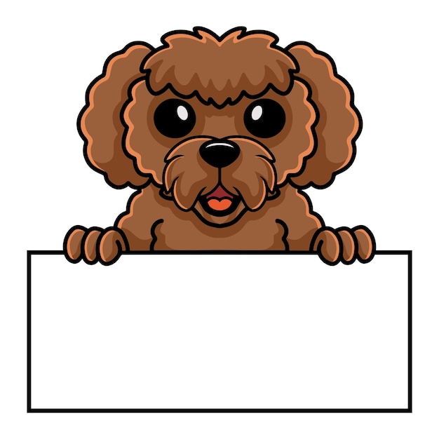 Vecteur caricature de chien caniche jouet mignon tenant une pancarte blanche