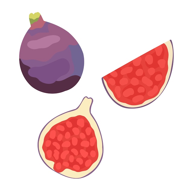 Caricature De Figues Entières Mûres Avec Ombres Et Quart De Halfgs Aliments Exotiques Sucrés Dans Une Coupe Pour Une Alimentation Saine Sur Fond Isolé