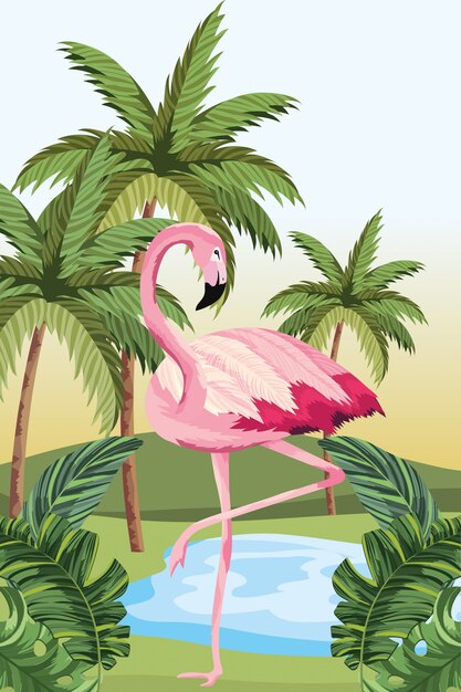 Caricature De Flamant Tropical