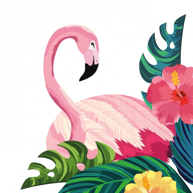 Vecteur caricature de flamant tropical