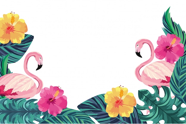 Caricature de flamants roses sur fond blanc