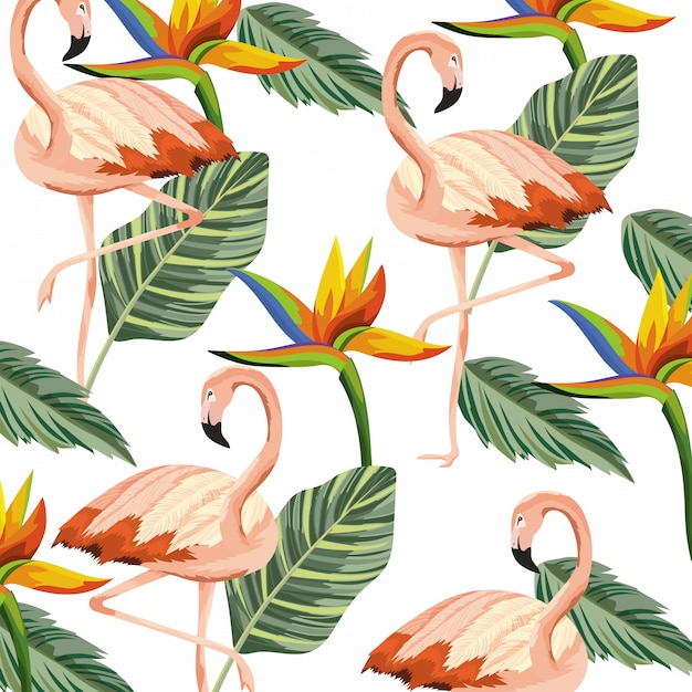 Caricature De Flamants Roses