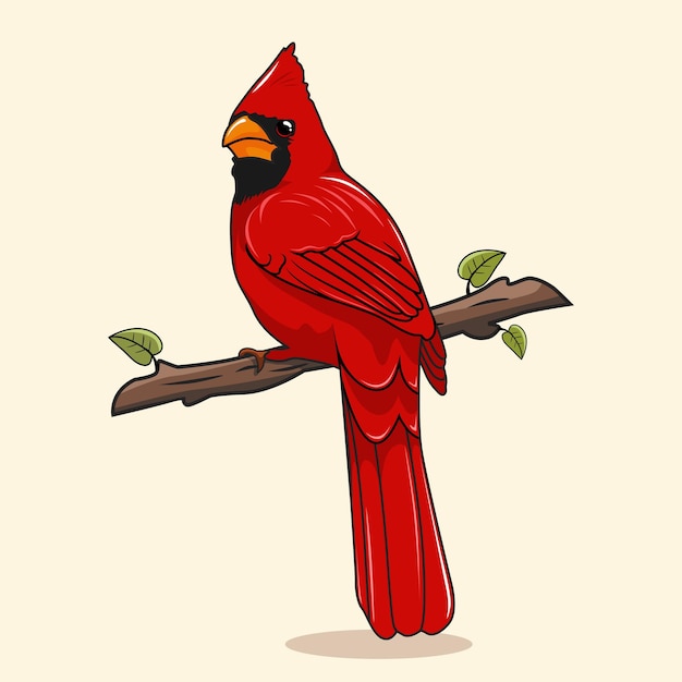 Vecteur caricature d'illustrations d'oiseaux cardinales du nord