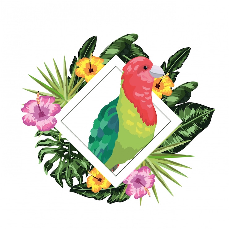 Vecteur caricature de motif floral sans soudure