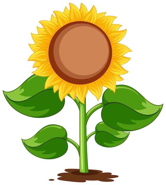 Caricature De Plante De Tournesol Isolée