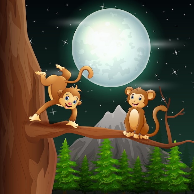 Caricature De Singes Sur La Branche D'arbre La Nuit