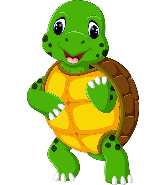 Caricature De Tortue Mignonne