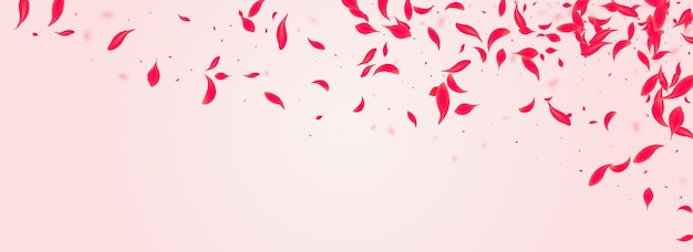 Vecteur carmine blossom vector fond panoramique rose