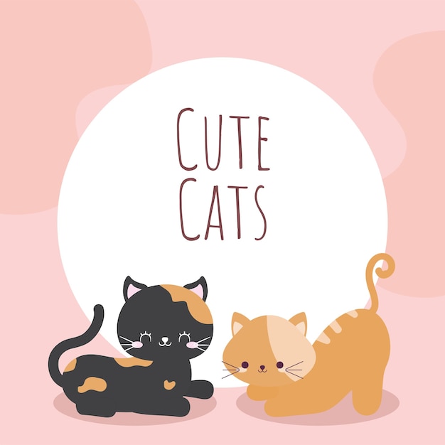 Carte De Chats Mignons