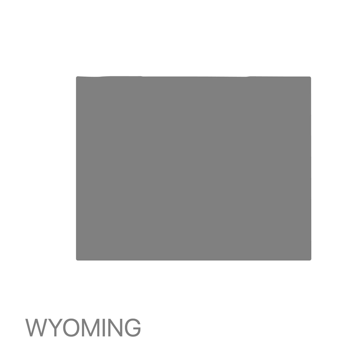 Vecteur carte détaillée de haute qualité de l'état du wyoming
