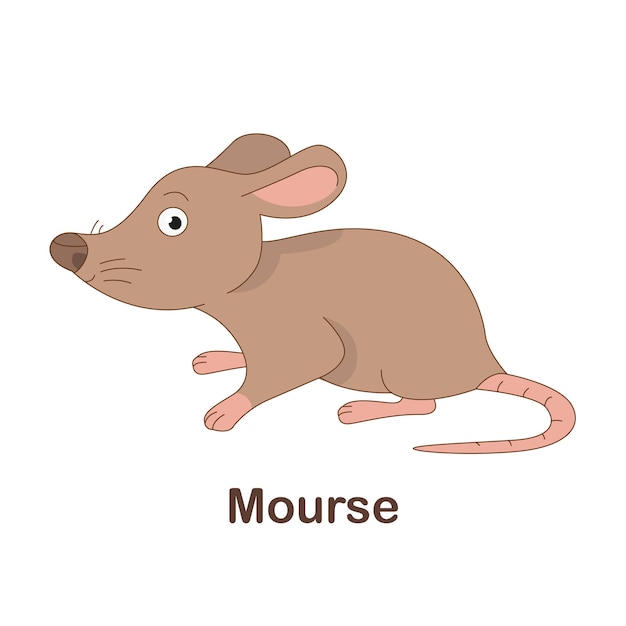 Carte Flash De Vocabulaire Pour Les Enfants. Morse Avec Photo De Morse