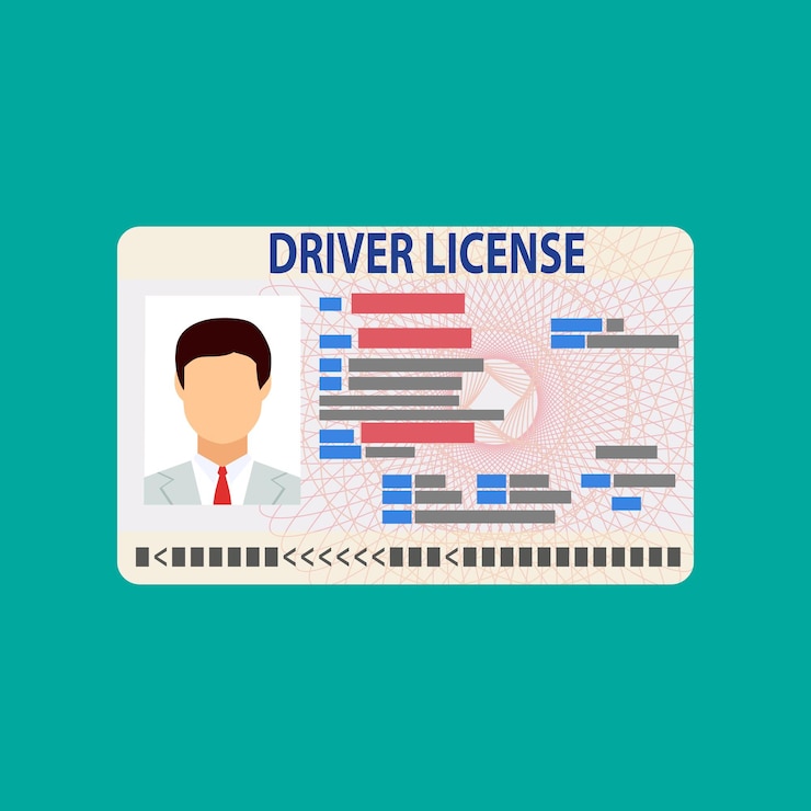 Vecteur carte d'identité de permis de conduire avec photo