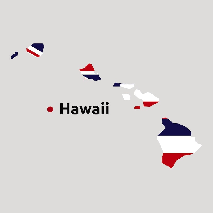 Vecteur carte des îles hawaï