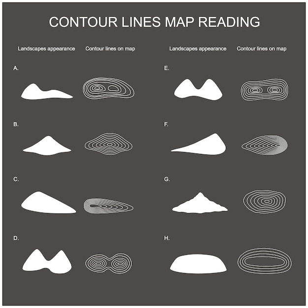 Vecteur carte des lignes de contour lecture montagnes image couleur blanche et lecture des lignes de contour carte vecteur linexa