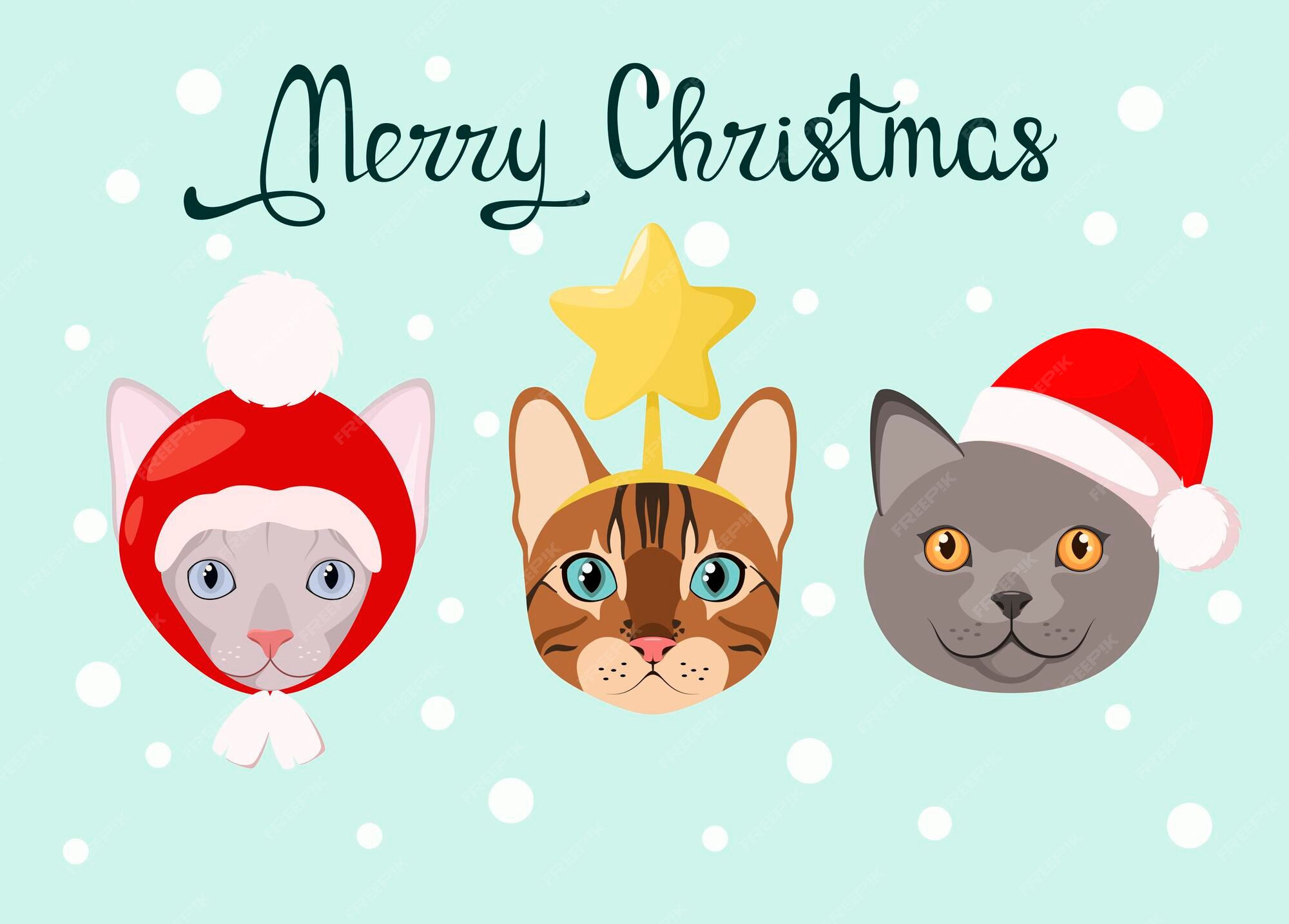 Carte De Noël Avec Des Chats Drôles. Animaux Domestiques. Conception De