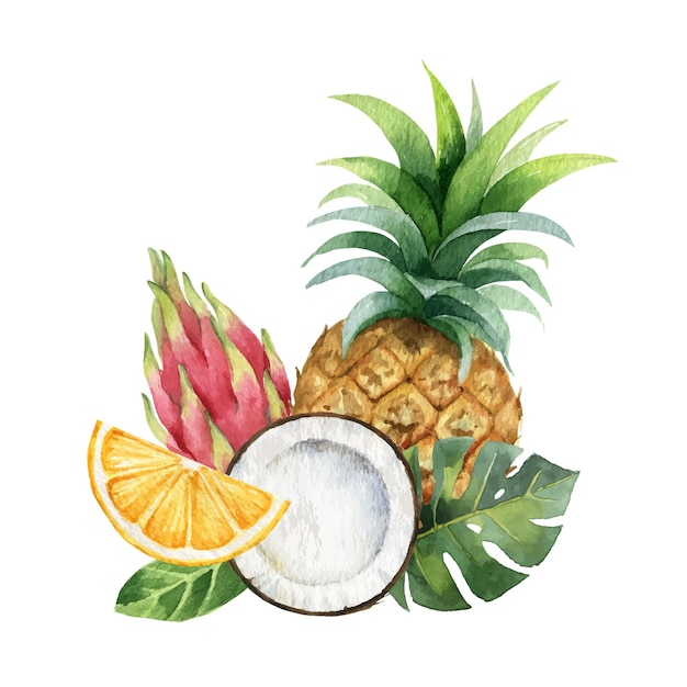 Carte Peinte à La Main De Vecteur Aquarelle De Fruits Exotiques