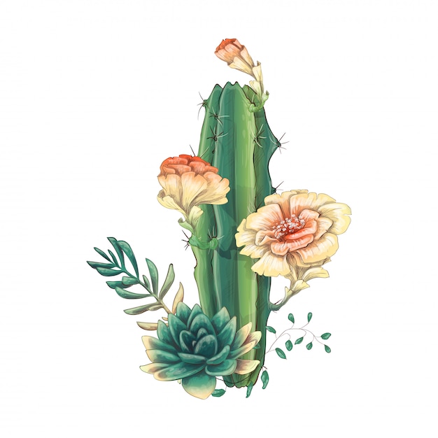 Carte Avec Set De Cactus Et Plantes Succulentes